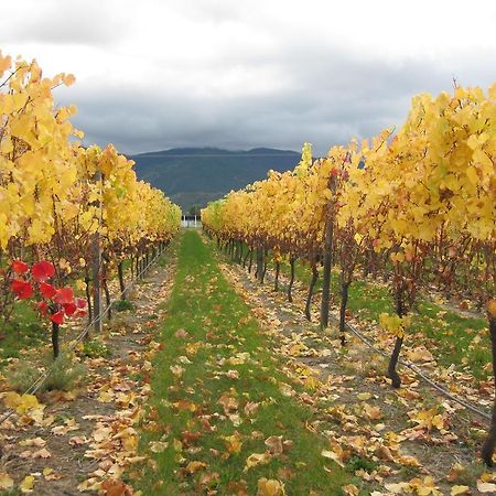 Korohi Vineyard Bnb Бленгейм Екстер'єр фото